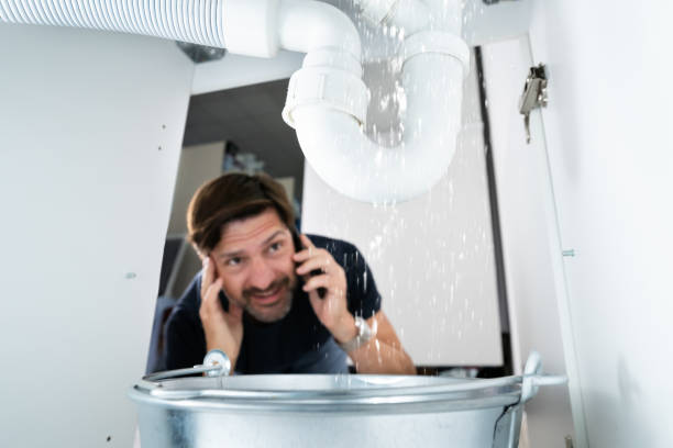 Best Septic Systems  in Hilltop, MN